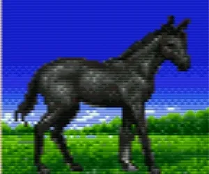 ウイポ2（スーファミ）の仔馬のスーパーホース（黒鹿毛）