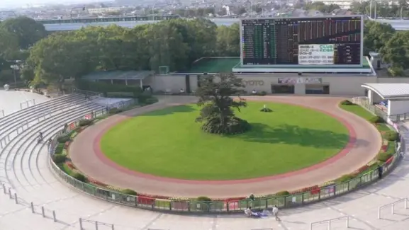 改修前の京都競馬場のパドックをグランドスワンA指定席から見下ろした風景で、円形の芝生と周回路の外側に観覧席が並び、奥に大型掲示板と森が見える俯瞰写真