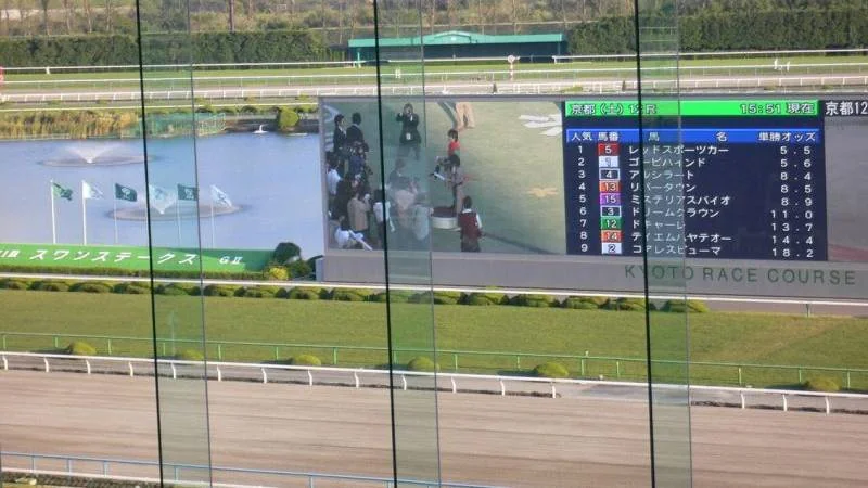 京都競馬場のグランドスワンA指定席から見下ろした馬場の風景で、ガラス窓の縦枠越しに芝とダートコース、池の向こうの大型ビジョンにレース映像とオッズ表示が映っている写真