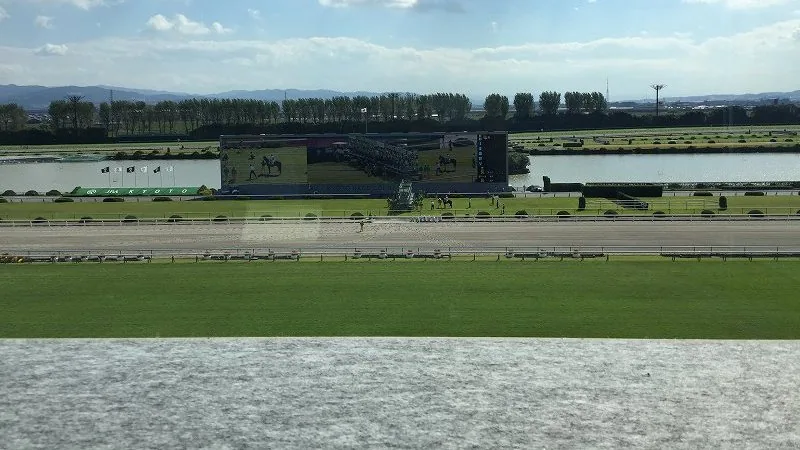 グランドスワンのA指定席から馬場を見下ろした風景で、緑の芝とダートコースの奥に大型ビジョンと池があり、遠景に並木と山並みが見える晴天の写真で下部は灰色の目隠しで一部隠れている
