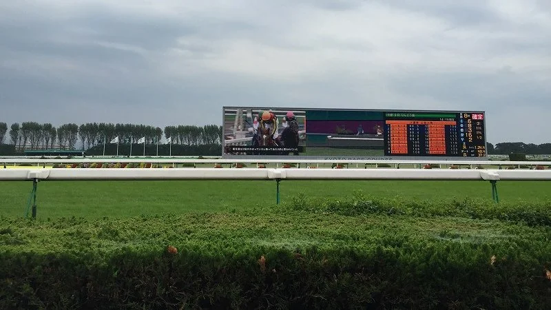 芝コースの白い柵と緑の芝生の奥に、レース映像とオッズが表示された大型ビジョンが立つ曇り空の競馬場風景